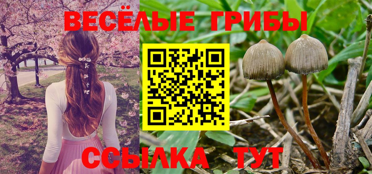 Ипатово  как найти наркотики  Вход с VPN  Псилоцибиновые грибы мицелий 