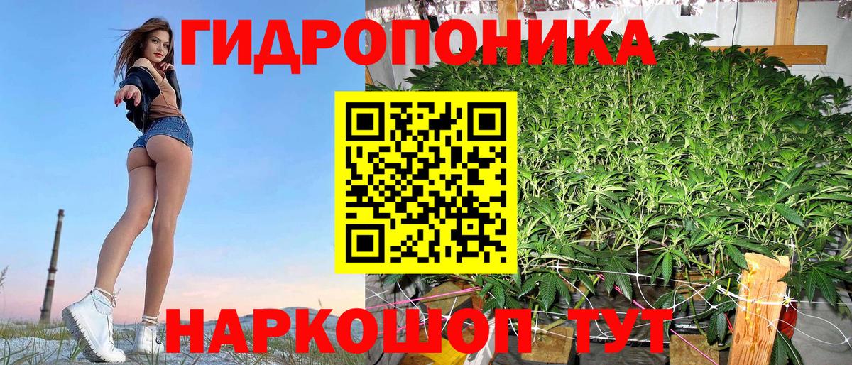 Шишки марихуана планчик Ипатово